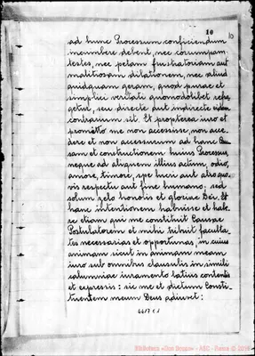 Fotogramma E 1