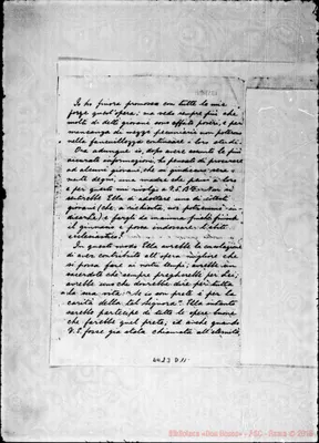 Fotogramma D 11