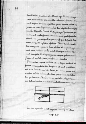 Fotogramma D 11