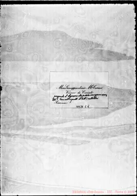 Fotogramma C 5