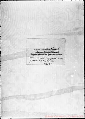 Fotogramma C 7