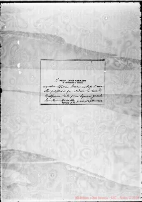 Fotogramma C 9