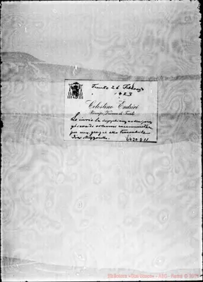 Fotogramma D 11