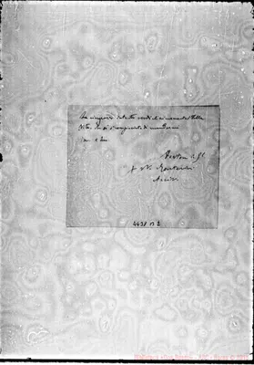 Fotogramma B 2