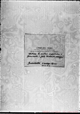 Fotogramma B 4
