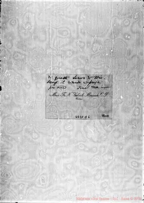 Fotogramma B 6