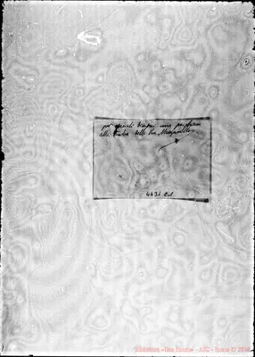 Fotogramma C 1