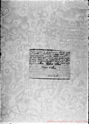 Fotogramma C 10