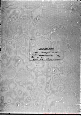 Fotogramma C 12