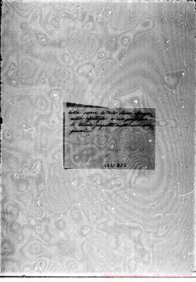 Fotogramma D 12