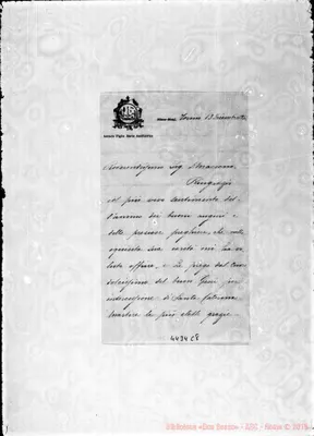 Fotogramma C 8