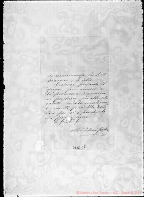 Fotogramma C 8