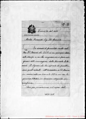Fotogramma D 11