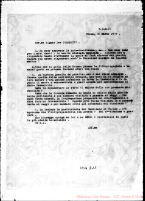 Fotogramma D 11