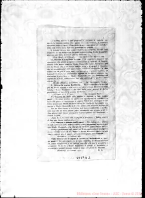 Fotogramma D 2