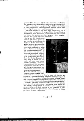 Fotogramma C 8