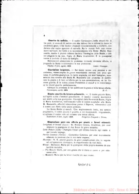 Fotogramma D 6