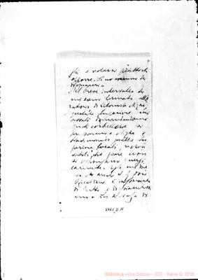Fotogramma D 11