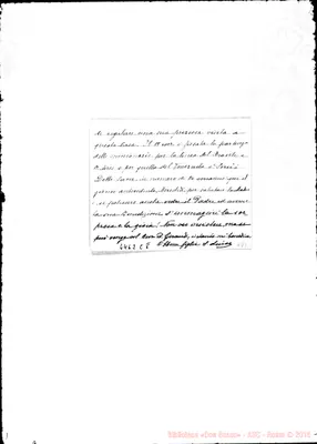 Fotogramma C 8