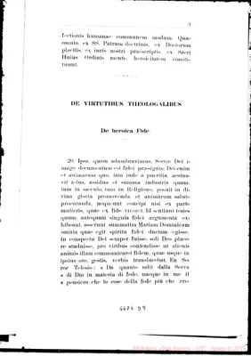 Fotogramma D 9