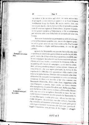 Fotogramma D 8