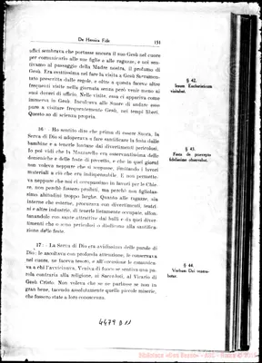 Fotogramma D 11