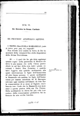 Fotogramma C 11