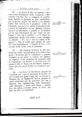 Fotogramma D 11