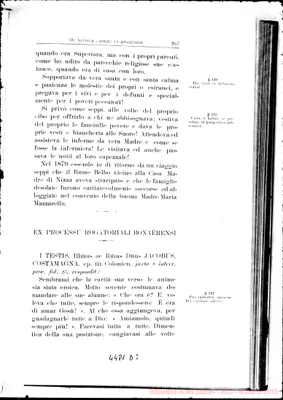 Fotogramma D 7
