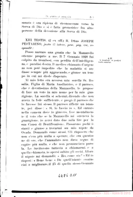 Fotogramma D 11