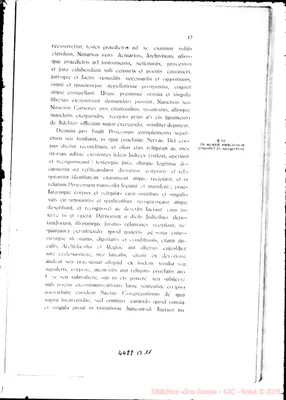 Fotogramma B 11