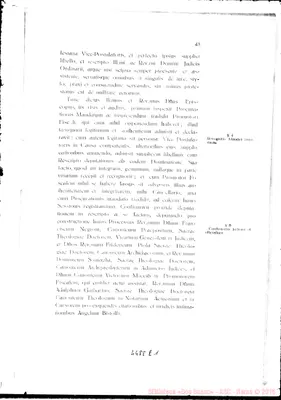 Fotogramma E 1