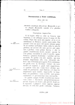 Fotogramma E 10