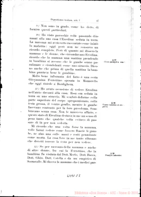 Fotogramma C 7