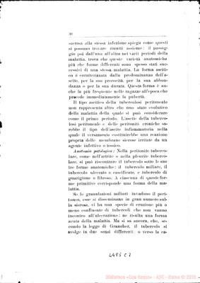 Fotogramma C 7