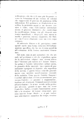 Fotogramma C 8