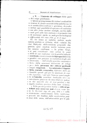 Fotogramma E 7