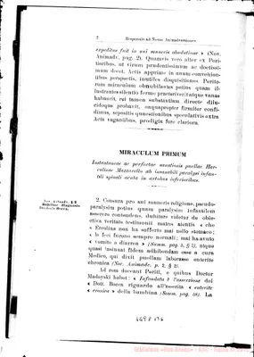 Fotogramma B 6