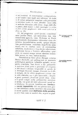 Fotogramma C 3