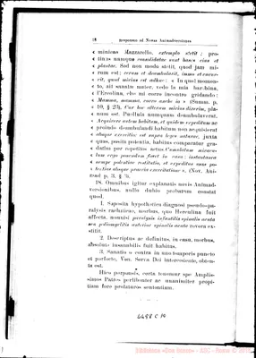 Fotogramma C 10