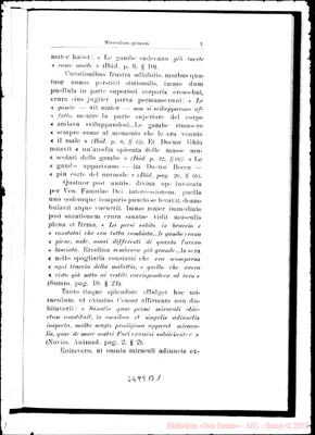 Fotogramma B 1
