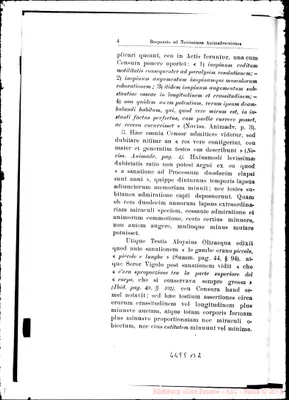 Fotogramma B 2