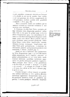 Fotogramma B 7