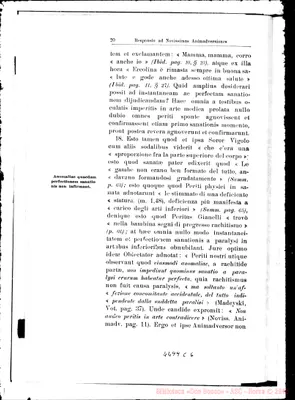 Fotogramma C 6