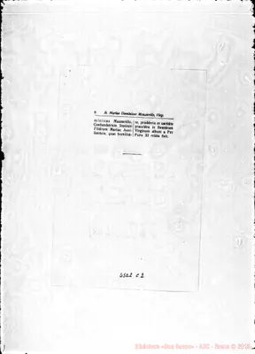 Fotogramma C 2