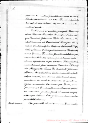 Fotogramma E 8