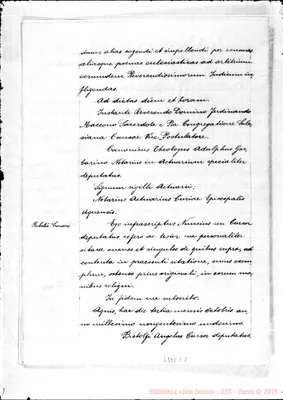 Fotogramma C 7