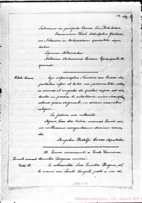 Fotogramma C 11