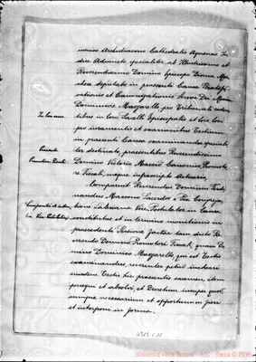 Fotogramma C 11