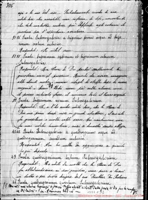 Fotogramma C 12